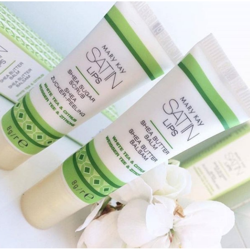 MARY KAY SATIN LIPS KIT